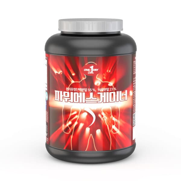원데이1 파워에스게이너 단백질 프로틴 2kg