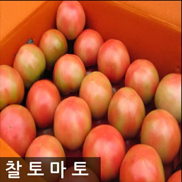 땡이네과일가게 명품찰토마토 10kg(5번)소과