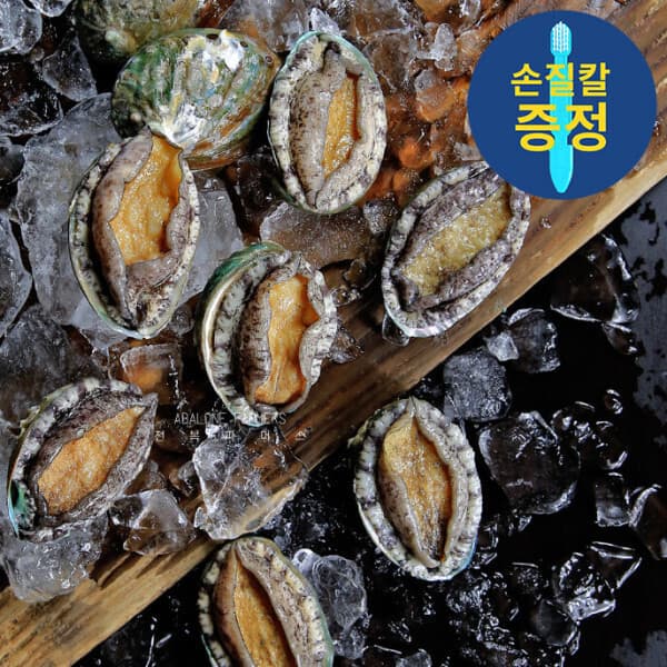 전복파머스 완도전복 특대1kg(7-8마리) 전복파머스 선물용전복 손질도구 및 봉지미역(20g) 각1개씩 증정 - 최저가 32,000원
