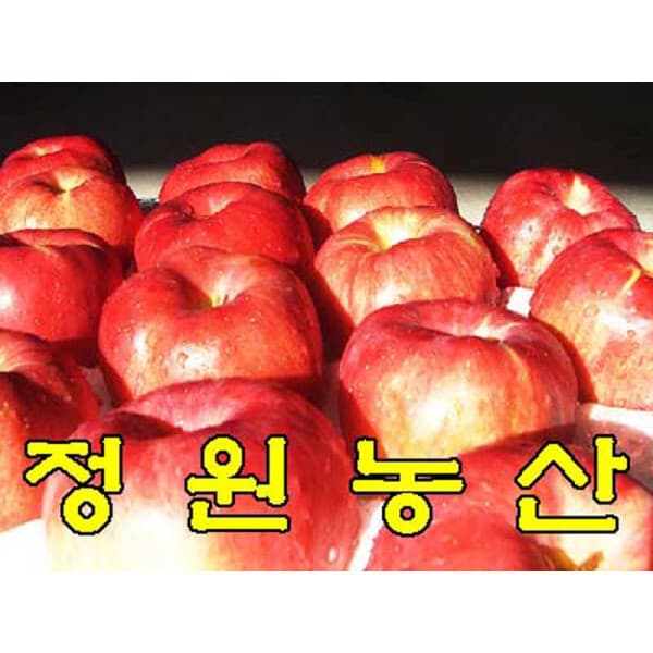 봉화산사과 정원농산 껍질째먹는사과 10kg 마른기스 34과~44과 햇사과 저장사과