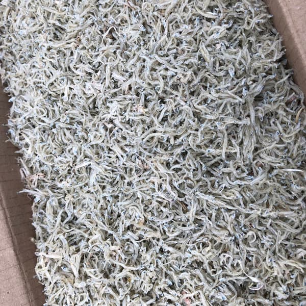 신건호멸치 상급 지리멸치 1kg 세멸치 볶음멸치 잔멸치
