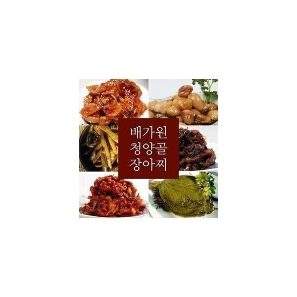 청양골장아찌 배가원 반찬 장아찌 청양고추 마늘 양파 깻잎 무말랭이 명이나물 민들레 곰취 톳
