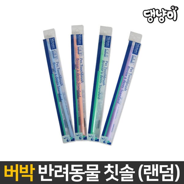 댕냥이 버박 C.E.T. 덴탈 미니 칫솔 3P