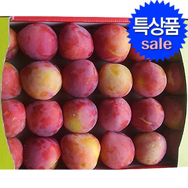 착한농사꾼 자두 도담 추희 2.5kg 대과