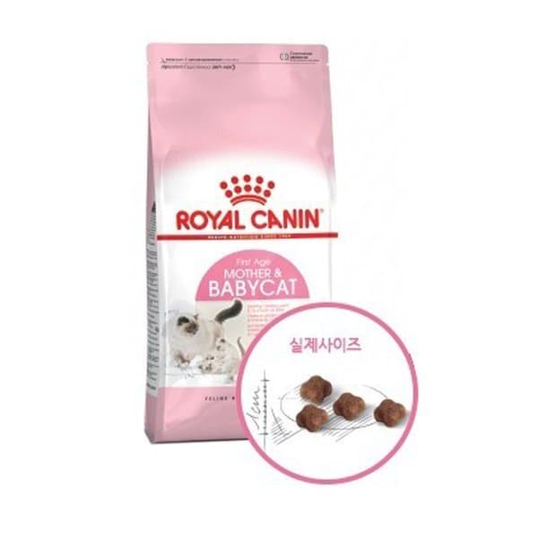 신세계몰 로얄캐닌 마더 앤 베이비 캣 2kg