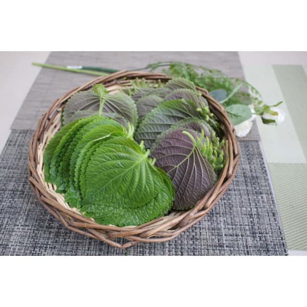 자연대로팜웨이 벌크깻잎 2kg