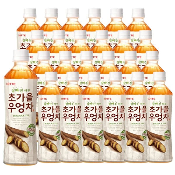 롯데칠성스타배송 잘빠진 하루 초가을 우엉차 500ml x 24펫