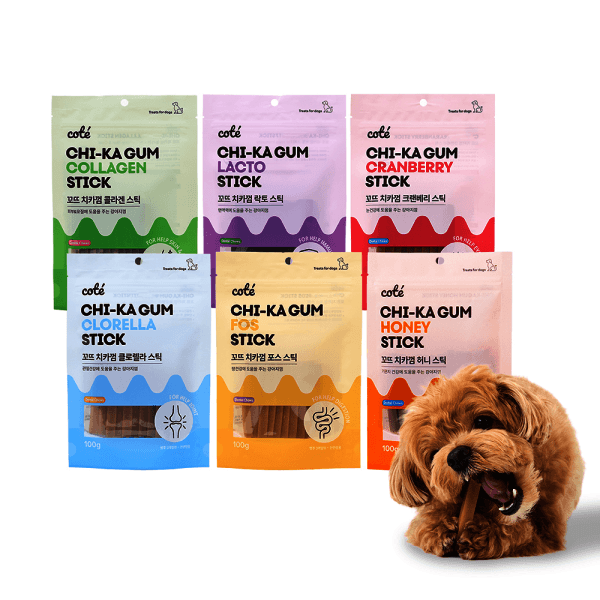 브랜드시터 꼬뜨 치카껌 가수분해 강아지껌 100g x 6종 세트
