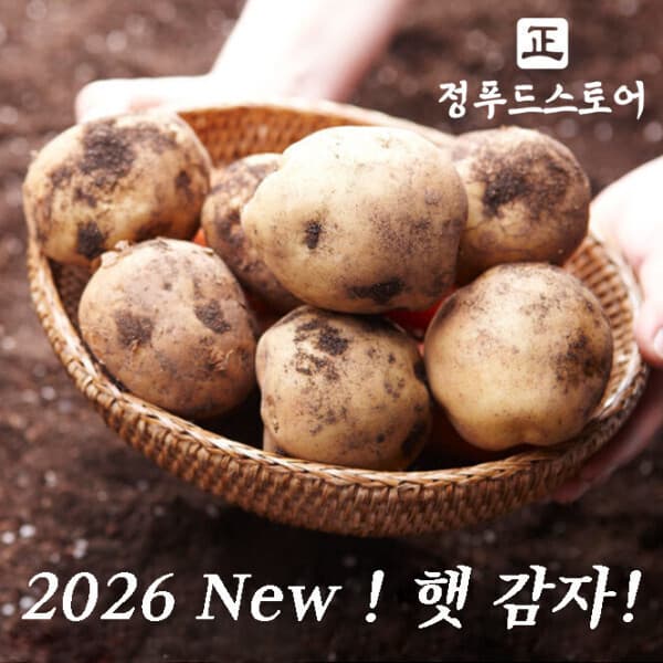 원예농협 포슬포슬 햇 수미감자 10kg (대)