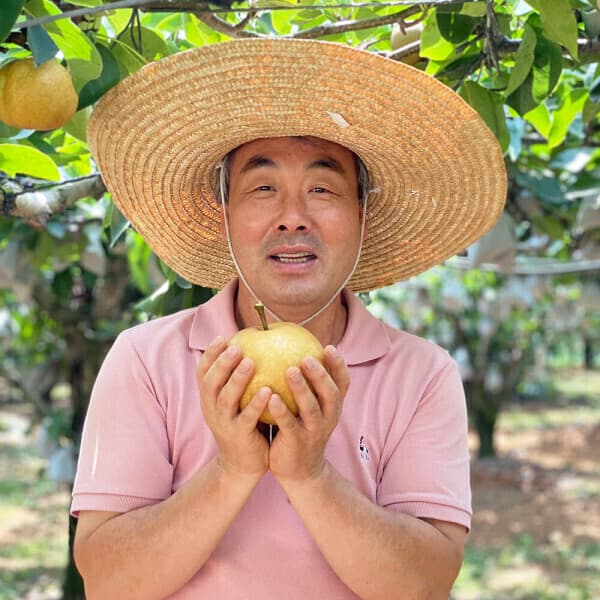 농업회사법인과일꾼 과일꾼 나주배 가정용 5kg 6-10과