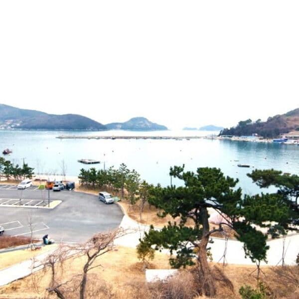 주식회사온다 거제구조라바우펜션