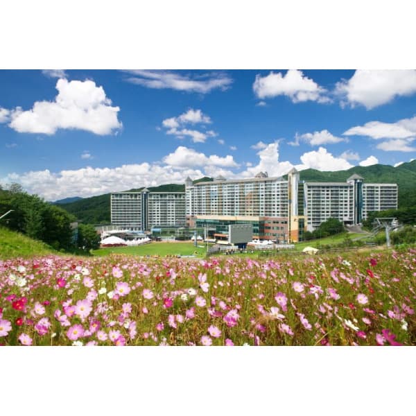 웹투어 강원 횡성 웰리힐리파크