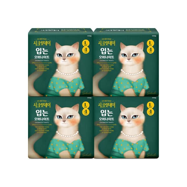 하이베러 생리대 시크릿데이 입는 오버나이트 중형/대형 4PX4팩 - 최저가 18,900원