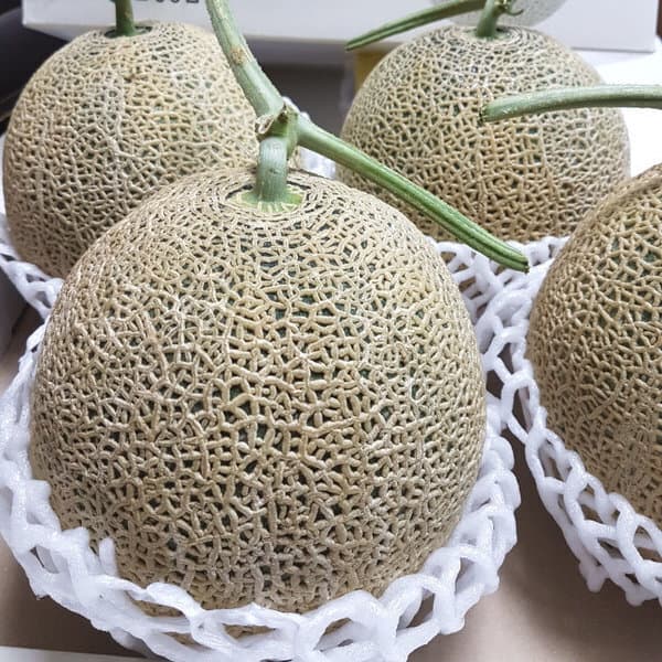 따봉이네과일 머스크메론 8kg 3-4수
