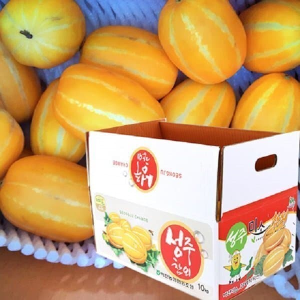 참농가 햇 성주 참외 가정용 랜덤 10kg