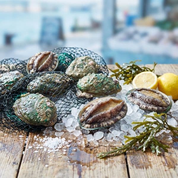 청해진미완도전복 완도활전복 9~10미 1kg