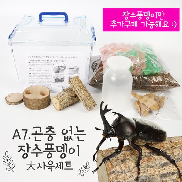 하하곤충2 장수풍뎅이 곤충없는세트 국산 클린 대형 사육세트 A7 - 최저가 13,900원