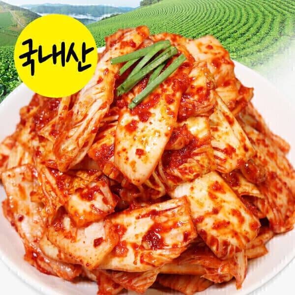 푸~드 뱅크 푸드뱅크 겉절이 김치 국산 2kg