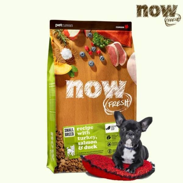 청춘개밥 나우 NOW 사료 어덜트 9.98kg - 최저가 113,900원