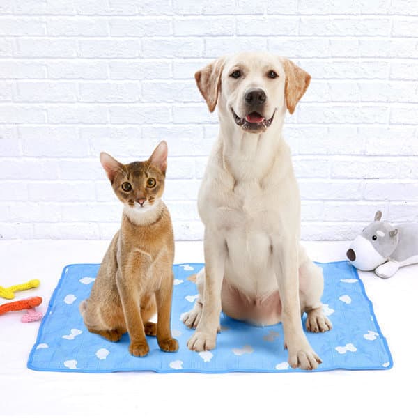 thecocs 신라 요미요미 반려견 쿨매트 강아지 고양이 침대 쿨젤 아이스 패드 - 최저가 12,800원