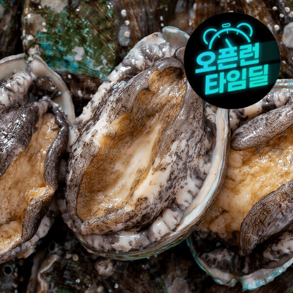 맛꾼푸드 진도 활 전복 1kg