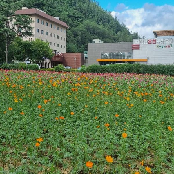 여기어때국내숙박 주왕산온천관광호텔