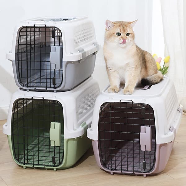 꼬리살랑 강아지 고양이 켄넬 케이지 L사이즈 - 최저가 36,000원