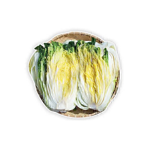 우리농장 우리농장 절임배추 20kg
