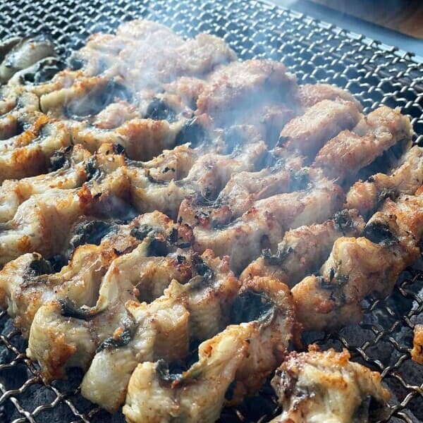롯데아이몰 우체국쇼핑 고창 풍천 민물장어 1kg 소스 2종 자포니카종 (손질후 실중량600g)