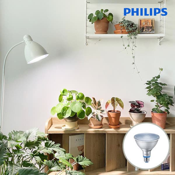씨넥스몰 PHILIPS PAR38 LED 식물조명 생장등