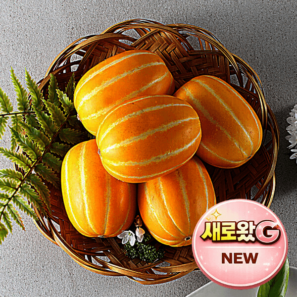 지안팜 참외 5kg