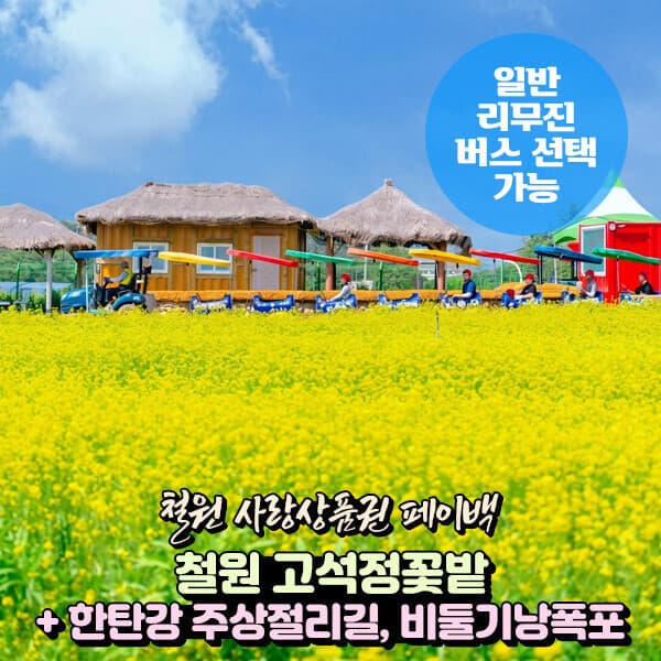 파랑새투어 강원 철원 꽃밭+한탄강 주상절리길+비둘기낭 폭포 당일여행(일반/리무진 선택)