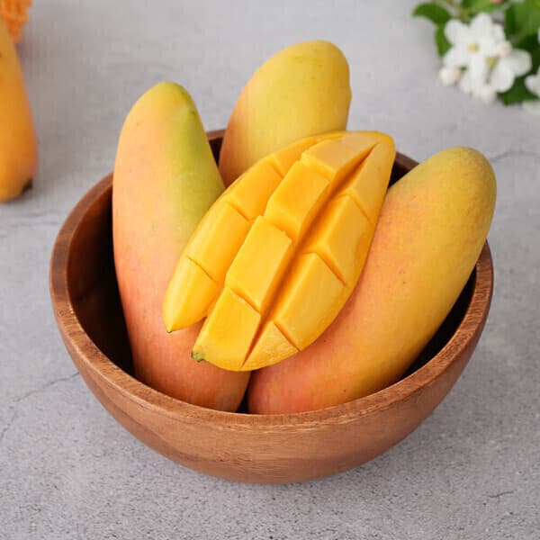 감동몰 마하차녹 무지개 망고 8-12과 4kg