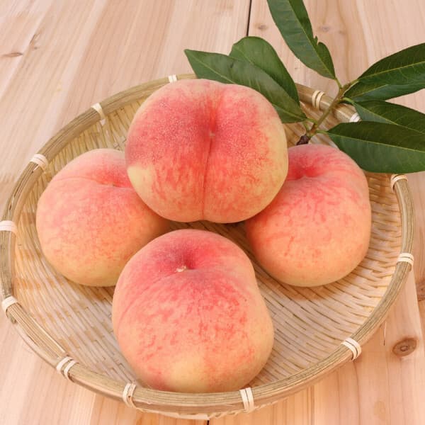 참농가 복숭아 황도 4KG 중대과