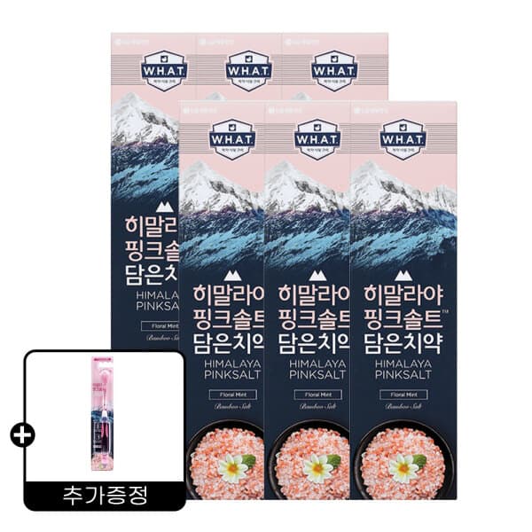 LG생활건강-스타배송 페리오 히말라야 핑크솔트 치약 플로럴민트 100g 6개 + 핑크솔트 칫솔 - 최저가 18,500원