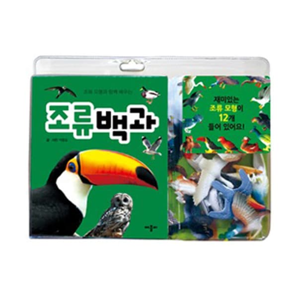 올랑올랑문구점 조류 백과 / 책+모형 백과사전