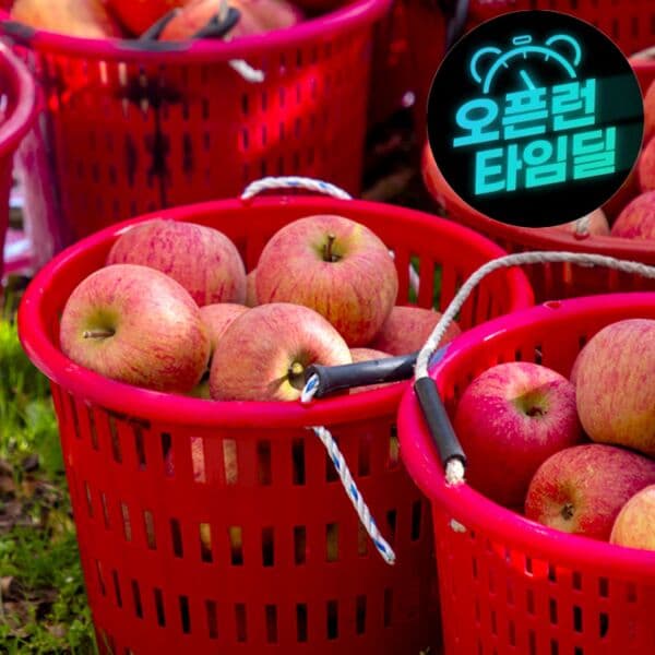 K푸드테크 산지직송 부사 사과 9kg 50~60개