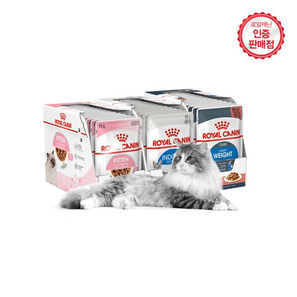 로얄캐닌온라인스토어 로얄캐닌 고양이사료 습식파우치 12P 그레이비 젤리 인도어 키튼 85g