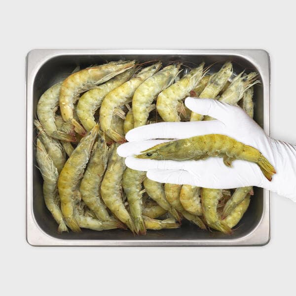 벌크푸드 흰다리새우 2kg 31/40사이즈 페루 중하새우 - 최저가 27,700원