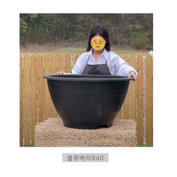 그린컴퍼니 블루베리화분840 대형화분 - 최저가 29,900원
