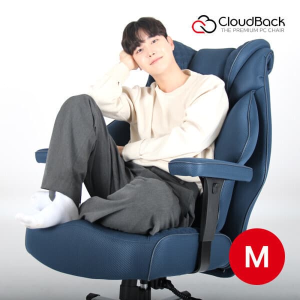 클라우드백 클라우드백 마이사이즈체어 M900MQ 컴퓨터의자 - 최저가 339,000원
