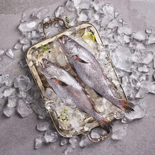 공영쇼핑TV 우리참바다 국내산 반건조 통민어 300g 10마리 + 반건조 편민어 200g 2마리