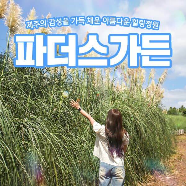 V-PASS 제주 파더스가든 입장+동물농장