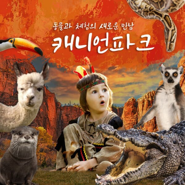 엘에스 컴퍼니 울산 캐니언파크 입장권