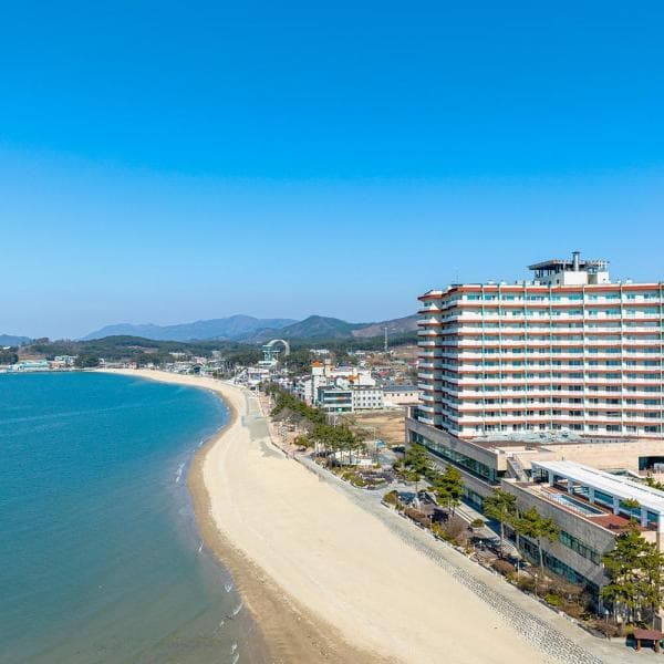 (주)놀유니버스 비체팰리스 보령대천해수욕장 숙박 - 최저가 111,900원
