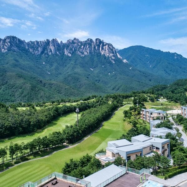 (주)놀유니버스 소노펠리체 빌리지 델피노 속초고성