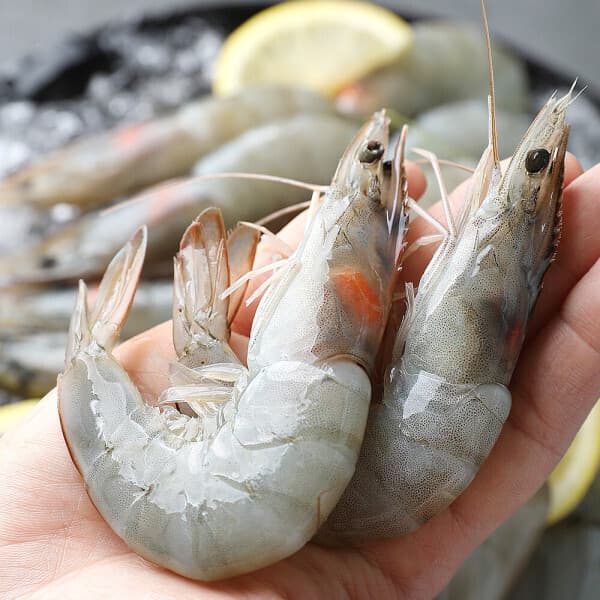 물고기삼촌 흰다리 새우 1kg 약32미내외