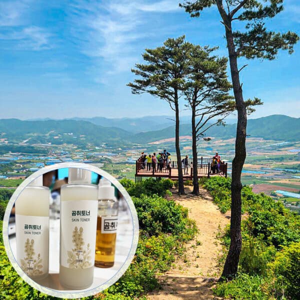 로망스투어 양구펀치볼둘레길 숲밥 박수근미술관 곰취토너만들기체험