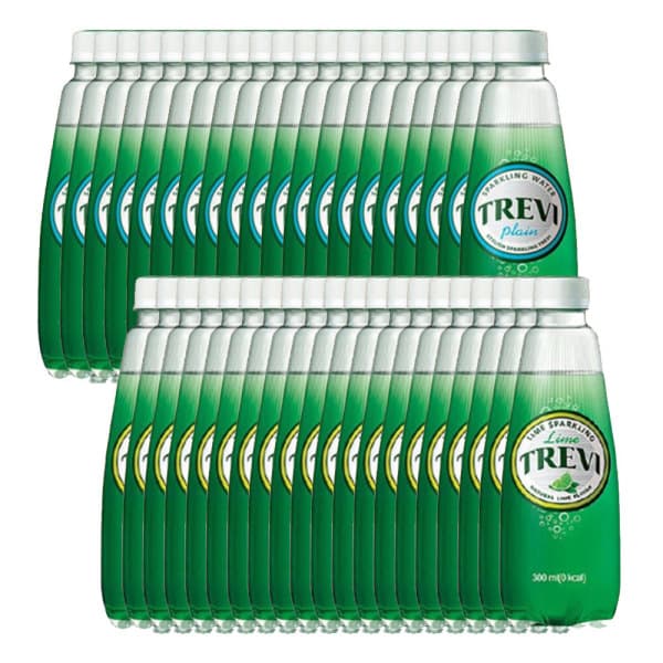 롯데칠성스타배송 트레비 300ml 플레인 20pet + 라임 20pet