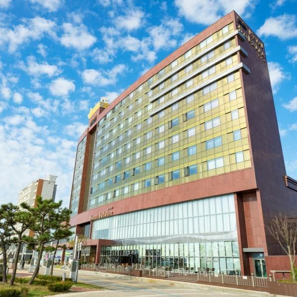 (주)놀유니버스 호텔 쏠레르 보령대천해수욕장 - 최저가 117,300원